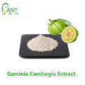 Gewichtsverlust Garcinia Cambogia Fruchtextrakt HCA Pulver